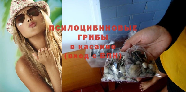 стаф Балахна