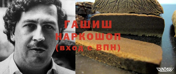 стаф Балахна