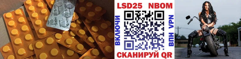 LSD-25 экстази ecstasy  hydra ссылки  Курильск 