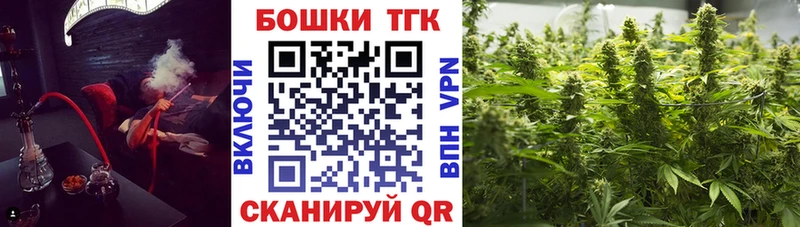 что такое   Курильск  МАРИХУАНА планчик 
